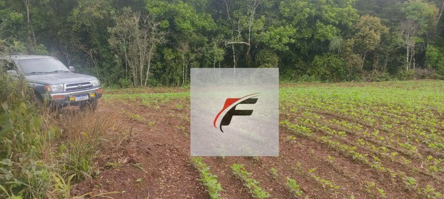 Chácara com 1 quarto à venda, 137214m2 em Colônia Balbino Cunha, Campo Largo - PR - imagem 7 Foto 7 de Chácara com 1 quarto à venda, 137214m2 em Colônia Balbino Cunha, Campo Largo - PR