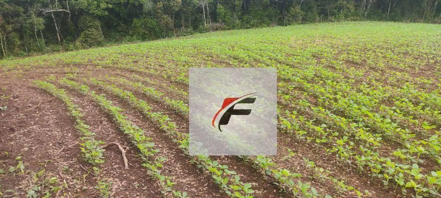 Chácara com 1 quarto à venda, 137214m2 em Colônia Balbino Cunha, Campo Largo - PR - imagem 6 Foto 6 de Chácara com 1 quarto à venda, 137214m2 em Colônia Balbino Cunha, Campo Largo - PR