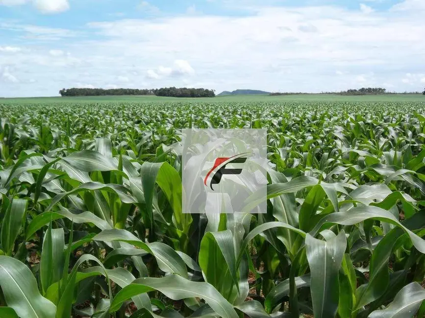 Foto 3 de Fazenda / Haras à venda, 3218600m2 em Centro, Guarapuava - PR