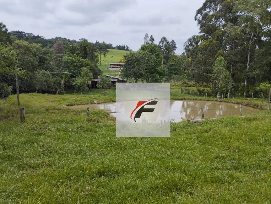 Foto 9 de Chácara à venda, 121000m2 em Centro, Santa Maria Do Oeste - PR