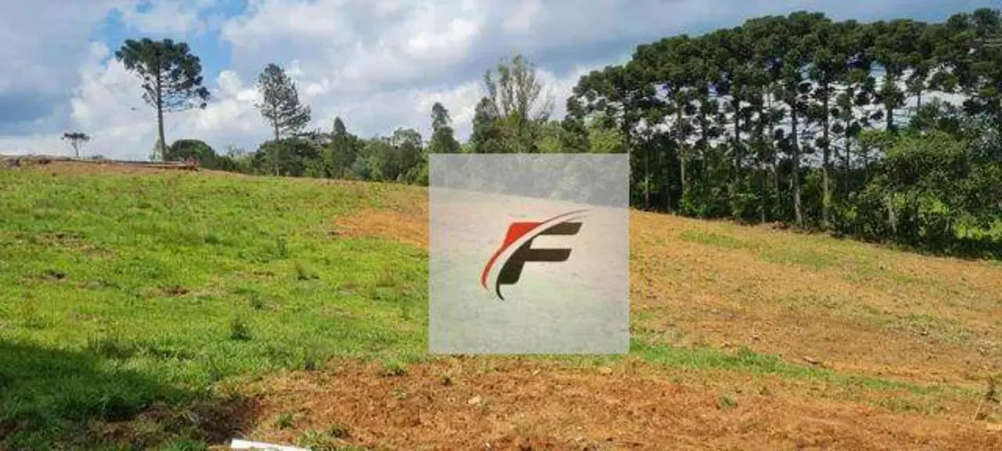 Foto 9 de Chácara com 4 quartos à venda, 148588m2 em Quatro Barras - PR