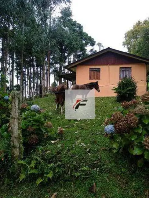 Foto 7 de Chácara com 4 quartos à venda, 148588m2 em Quatro Barras - PR
