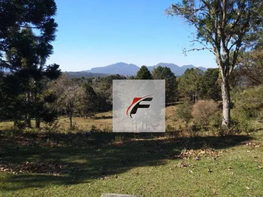 Foto 4 de Chácara com 4 quartos à venda, 148588m2 em Quatro Barras - PR