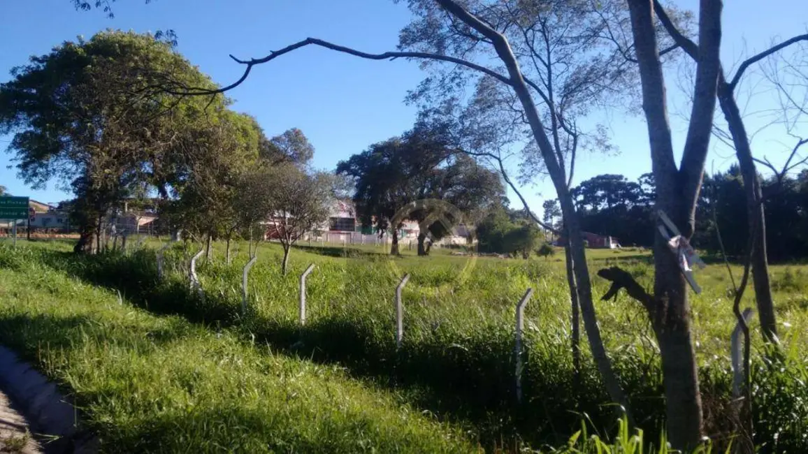 Foto 5 de Terreno / Lote à venda, 73418m2 em Colônia Rio Grande, Sao Jose Dos Pinhais - PR