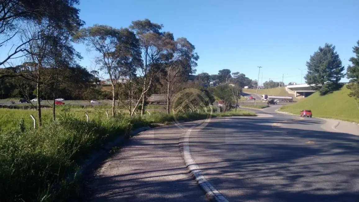 Foto 6 de Terreno / Lote à venda, 73418m2 em Colônia Rio Grande, Sao Jose Dos Pinhais - PR