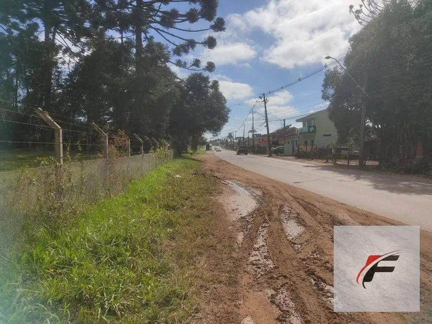 Terreno / Lote à venda, 25000m2 em Ganchinho, Curitiba - PR - imagem 7 Foto 7 de Terreno / Lote à venda, 25000m2 em Ganchinho, Curitiba - PR