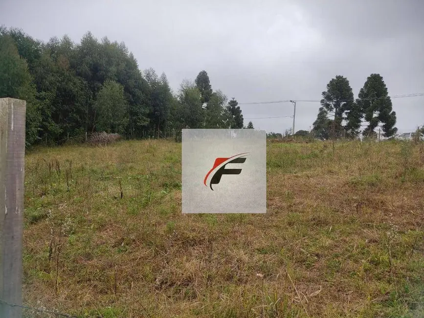 Terreno / Lote à venda, 15000m2 em Umbará, Curitiba - PR - imagem 3 Foto 3 de Terreno / Lote à venda, 15000m2 em Umbará, Curitiba - PR