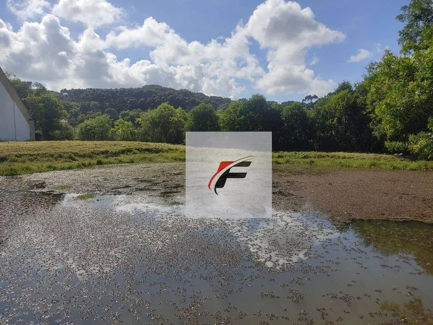 Terreno / Lote à venda, 18200m2 em Almirante Tamandare - PR - imagem 7 Foto 7 de Terreno / Lote à venda, 18200m2 em Almirante Tamandare - PR