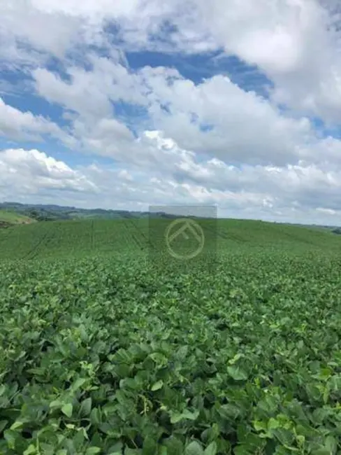 Foto 3 de Terreno / Lote à venda, 193600m2 em Antonio Olinto - PR