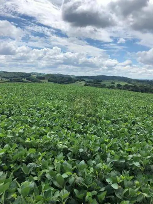 Foto 1 de Terreno / Lote à venda, 193600m2 em Antonio Olinto - PR