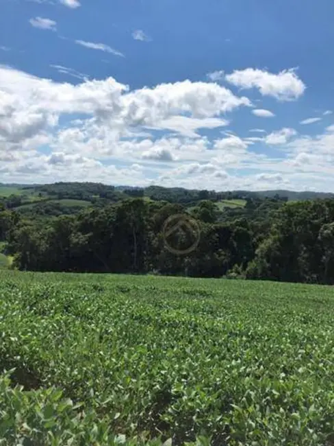Foto 2 de Terreno / Lote à venda, 193600m2 em Antonio Olinto - PR
