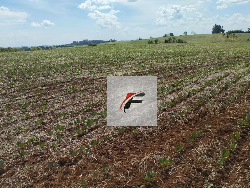Foto 2 de Fazenda / Haras à venda, 813120m2 em Marquinho - PR