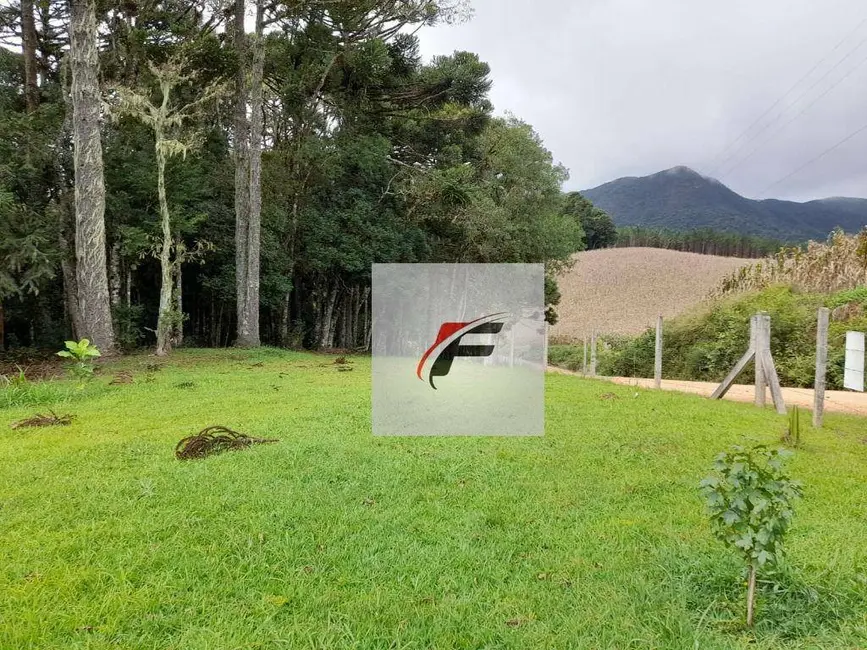 Chácara com 3 quartos à venda, 20000m2 em Sao Jose Dos Pinhais - PR - imagem 4 Foto 4 de Chácara com 3 quartos à venda, 20000m2 em Sao Jose Dos Pinhais - PR