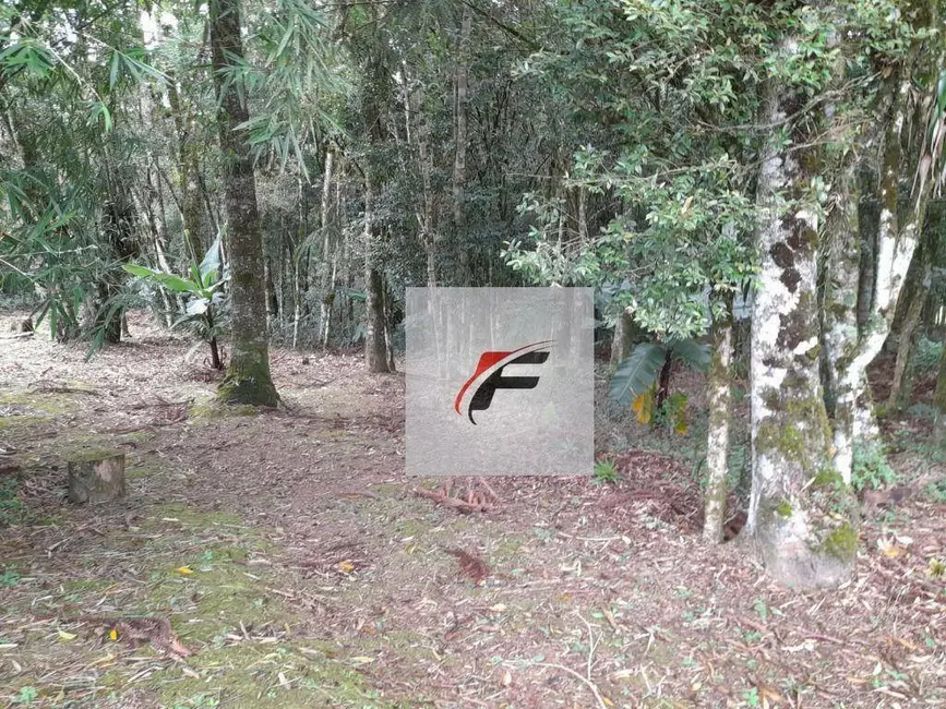Chácara com 3 quartos à venda, 20000m2 em Sao Jose Dos Pinhais - PR - imagem 5 Foto 5 de Chácara com 3 quartos à venda, 20000m2 em Sao Jose Dos Pinhais - PR