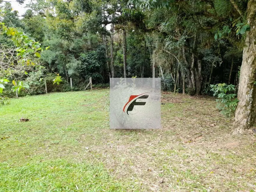 Chácara com 3 quartos à venda, 20000m2 em Sao Jose Dos Pinhais - PR - imagem 7 Foto 7 de Chácara com 3 quartos à venda, 20000m2 em Sao Jose Dos Pinhais - PR