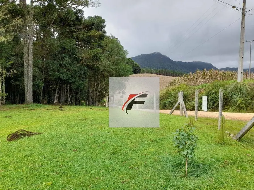 Chácara com 3 quartos à venda, 20000m2 em Sao Jose Dos Pinhais - PR - imagem 3 Foto 3 de Chácara com 3 quartos à venda, 20000m2 em Sao Jose Dos Pinhais - PR