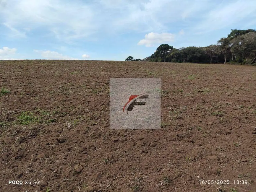 Foto 1 de Fazenda / Haras à venda, 695266m2 em Quitandinha - PR