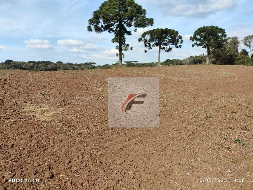 Foto 4 de Fazenda / Haras à venda, 695266m2 em Quitandinha - PR