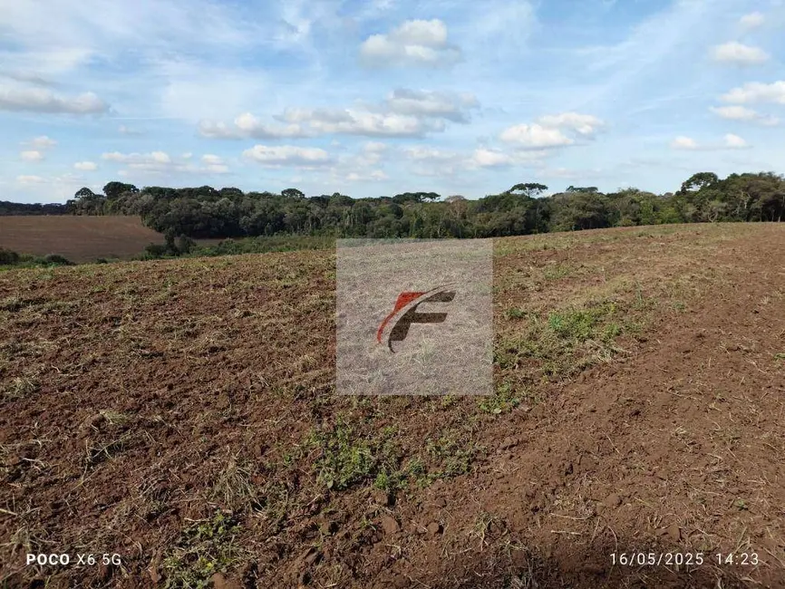 Foto 2 de Fazenda / Haras à venda, 695266m2 em Quitandinha - PR