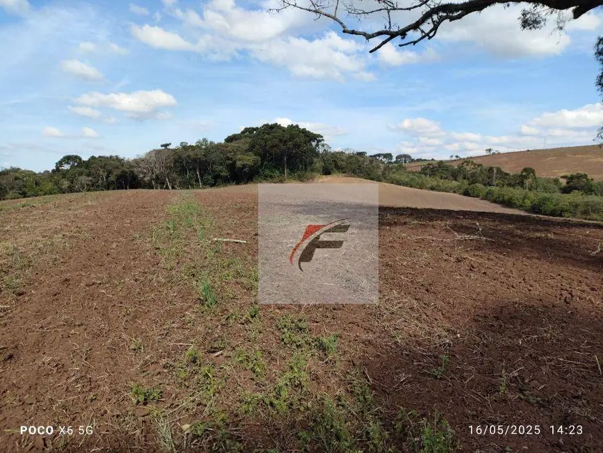 Foto 3 de Fazenda / Haras à venda, 695266m2 em Quitandinha - PR