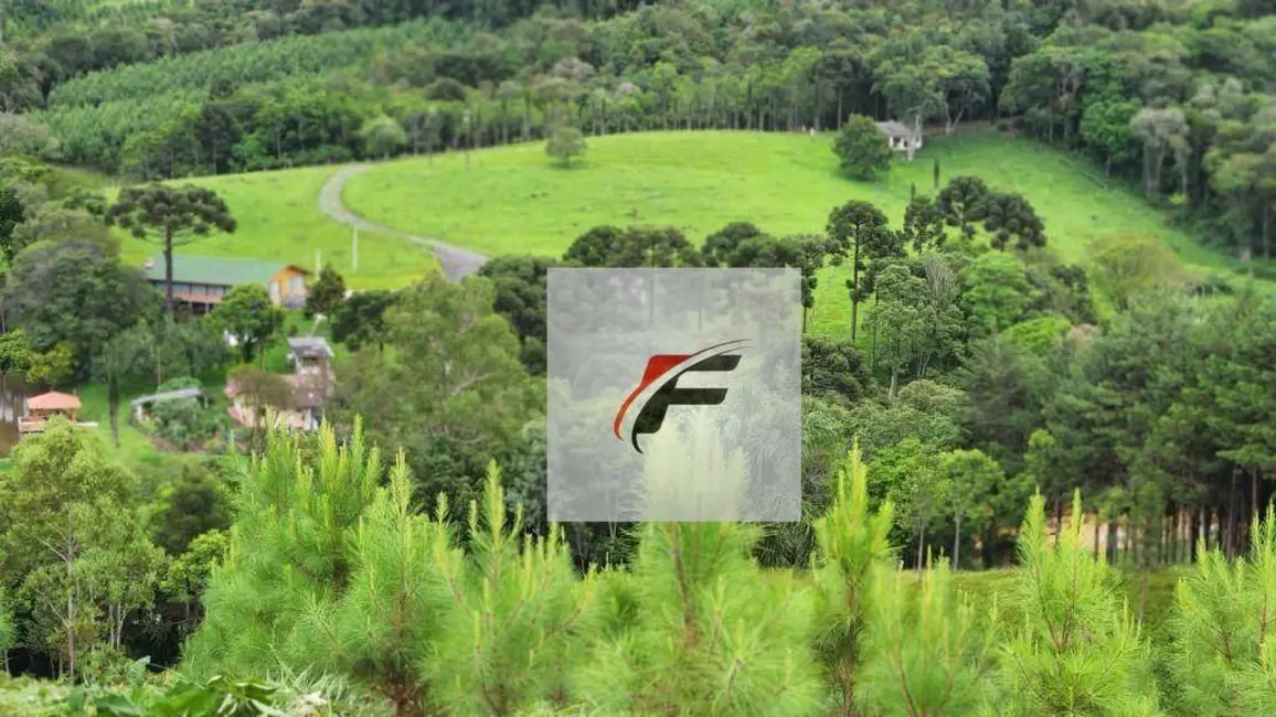 Foto 6 de Chácara com 3 quartos à venda, 302500m2 em Tijucas Do Sul - PR