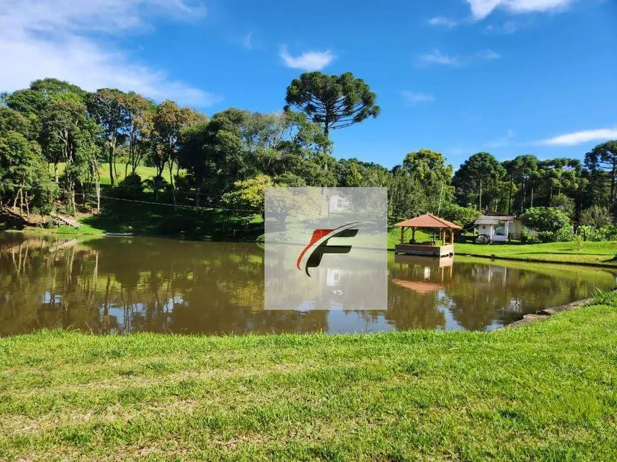 Foto 4 de Chácara com 3 quartos à venda, 302500m2 em Tijucas Do Sul - PR