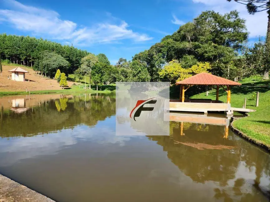 Foto 5 de Chácara com 3 quartos à venda, 302500m2 em Tijucas Do Sul - PR