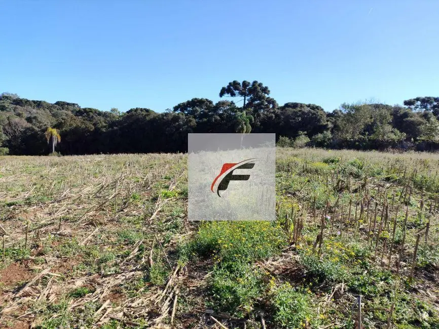 Foto 8 de Terreno / Lote à venda, 15524m2 em Ganchinho, Curitiba - PR