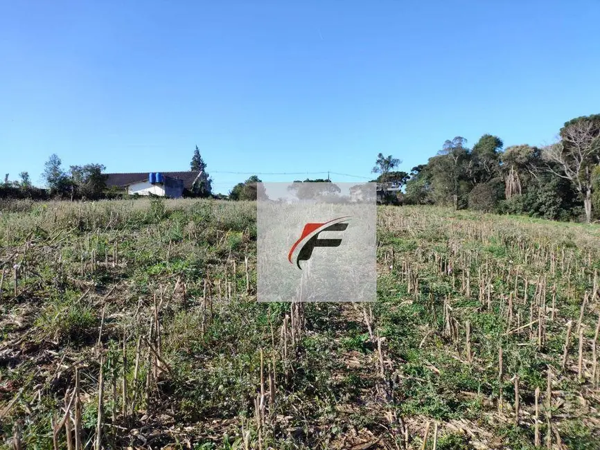 Foto 6 de Terreno / Lote à venda, 15524m2 em Ganchinho, Curitiba - PR