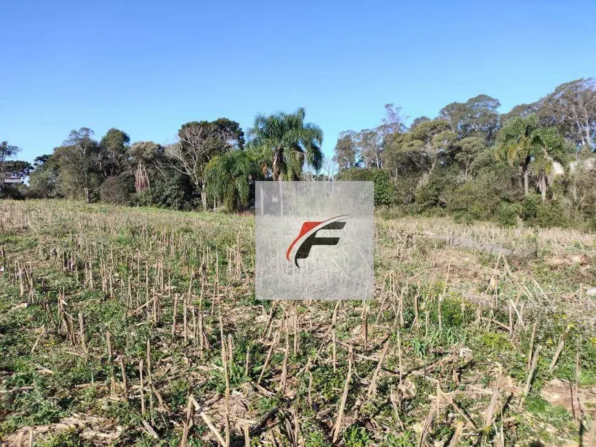 Foto 5 de Terreno / Lote à venda, 15524m2 em Ganchinho, Curitiba - PR