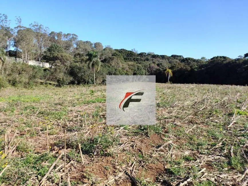 Foto 7 de Terreno / Lote à venda, 15524m2 em Ganchinho, Curitiba - PR