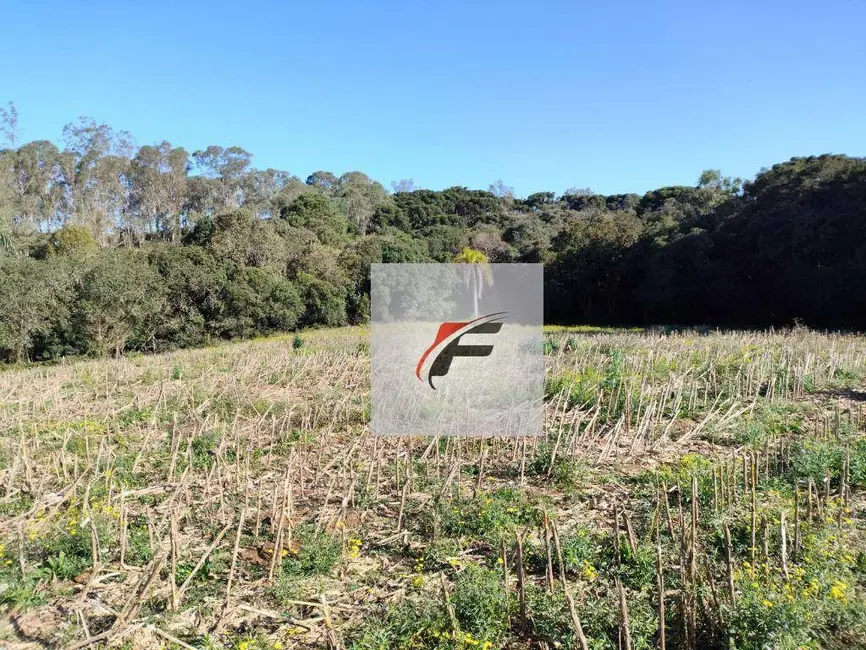 Foto 4 de Terreno / Lote à venda, 15524m2 em Ganchinho, Curitiba - PR