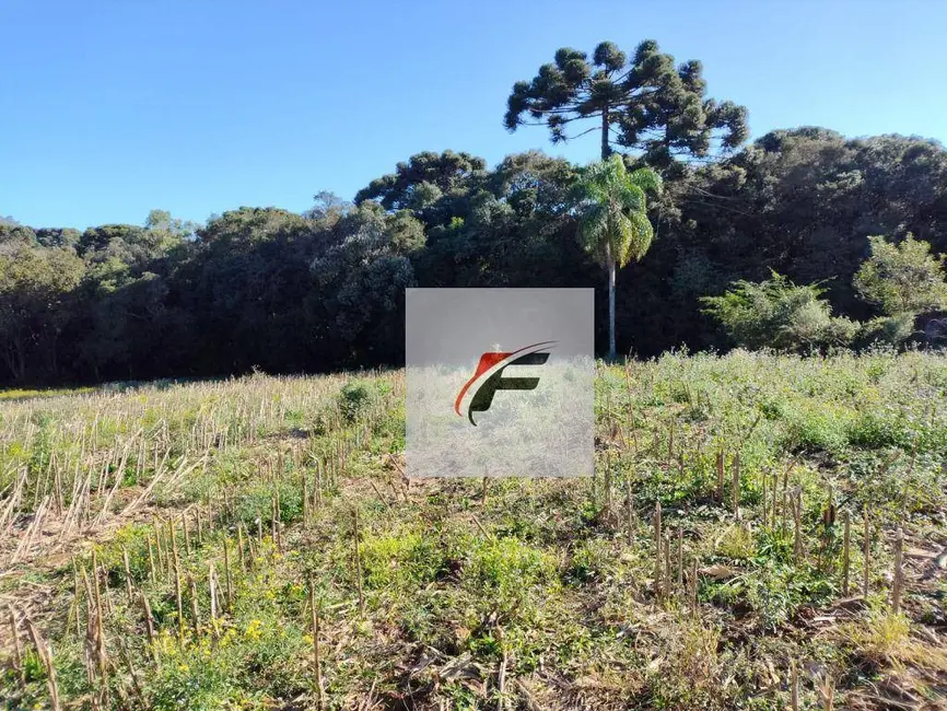 Foto 2 de Terreno / Lote à venda, 15524m2 em Ganchinho, Curitiba - PR