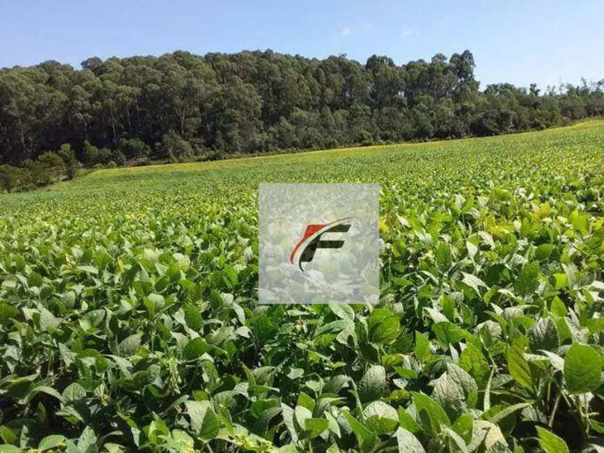 Foto 1 de Chácara com 3 quartos à venda, 605000m2 em Centro, Lapa - PR