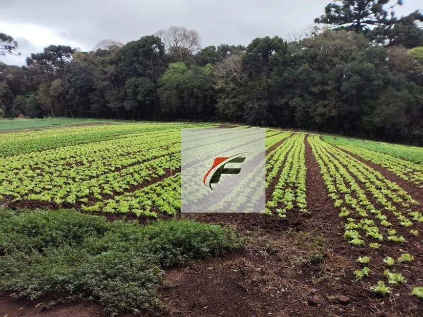 Foto 1 de Terreno / Lote à venda, 4987m2 em Umbará, Curitiba - PR