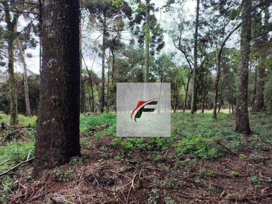 Foto 2 de Terreno / Lote à venda, 4987m2 em Umbará, Curitiba - PR
