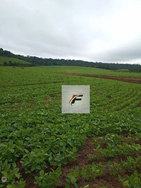Foto 2 de Fazenda / Haras à venda, 726000m2 em Turvo - PR