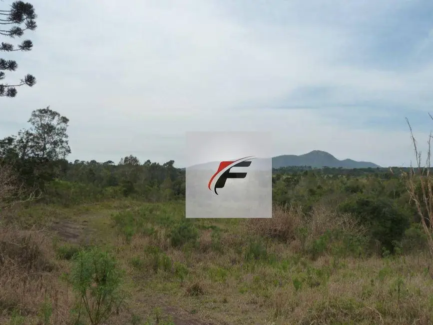 Foto 6 de Terreno / Lote à venda, 119247m2 em Quatro Barras - PR