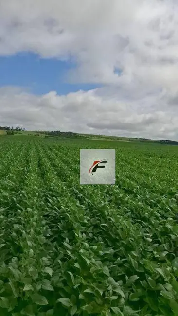 Foto 4 de Fazenda / Haras à venda, 4694800m2 em Ponta Grossa - PR