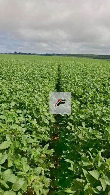 Foto 2 de Fazenda / Haras à venda, 4694800m2 em Ponta Grossa - PR