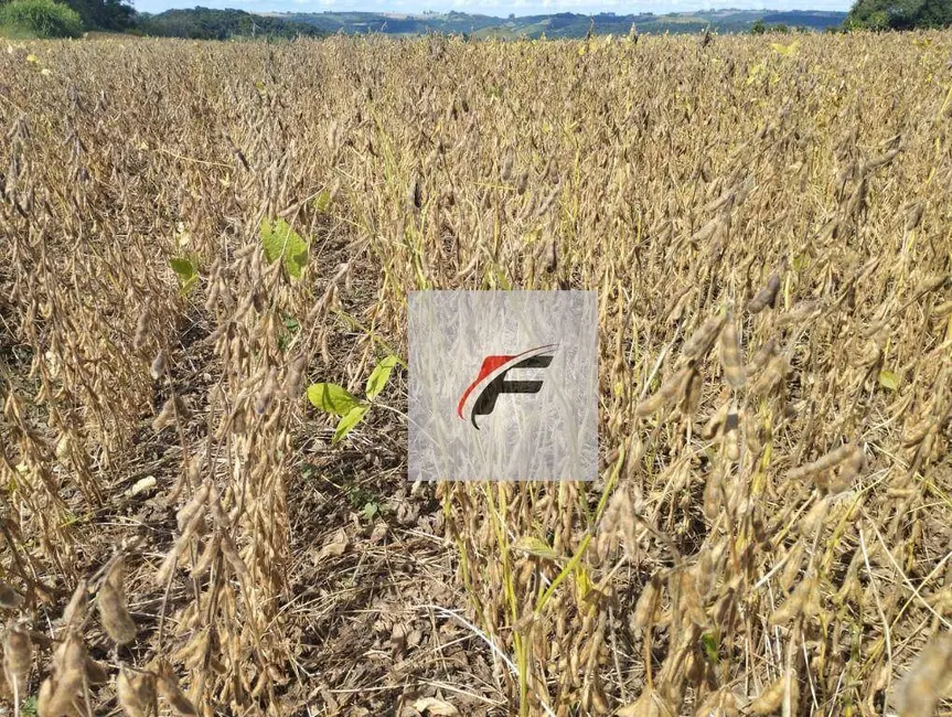 Foto 4 de Fazenda / Haras à venda, 3775200m2 em Centro, Pitanga - PR