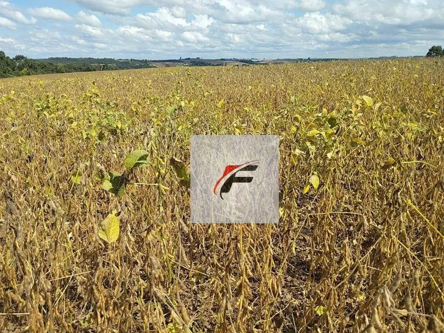 Foto 2 de Fazenda / Haras à venda, 3775200m2 em Centro, Pitanga - PR