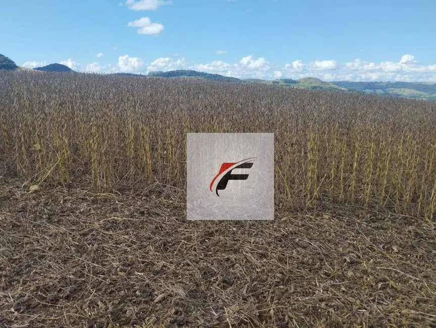 Foto 6 de Fazenda / Haras à venda, 3775200m2 em Centro, Pitanga - PR