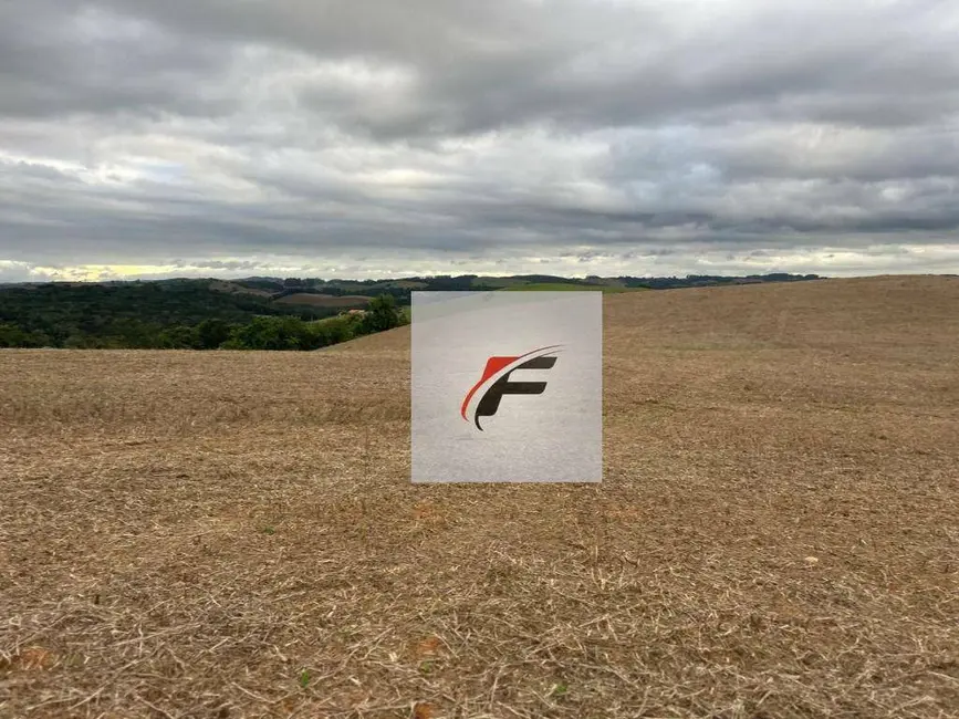 Foto 4 de Chácara à venda, 168432m2 em Quitandinha - PR