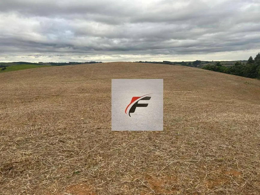Foto 1 de Chácara à venda, 168432m2 em Quitandinha - PR
