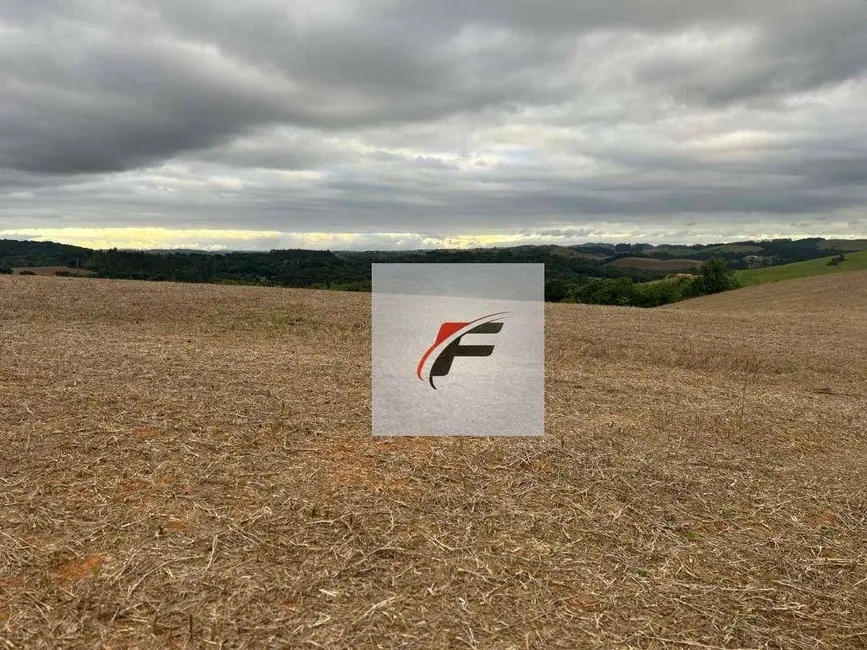 Foto 2 de Chácara à venda, 168432m2 em Quitandinha - PR