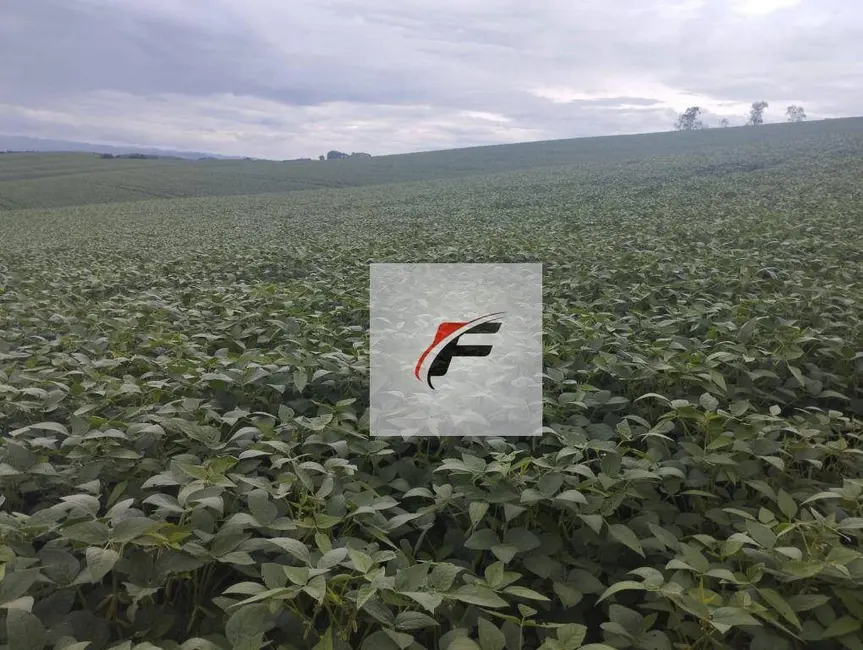 Foto 3 de Fazenda / Haras com 3 quartos à venda, 871200m2 em Centro, Guarapuava - PR