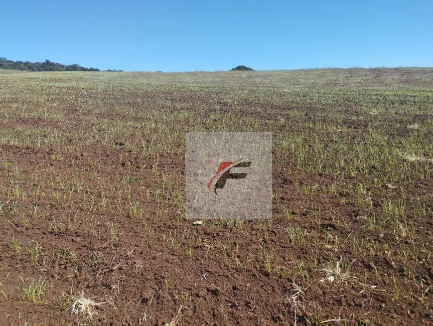 Foto 2 de Fazenda / Haras à venda, 3678400m2 em Palmital - PR