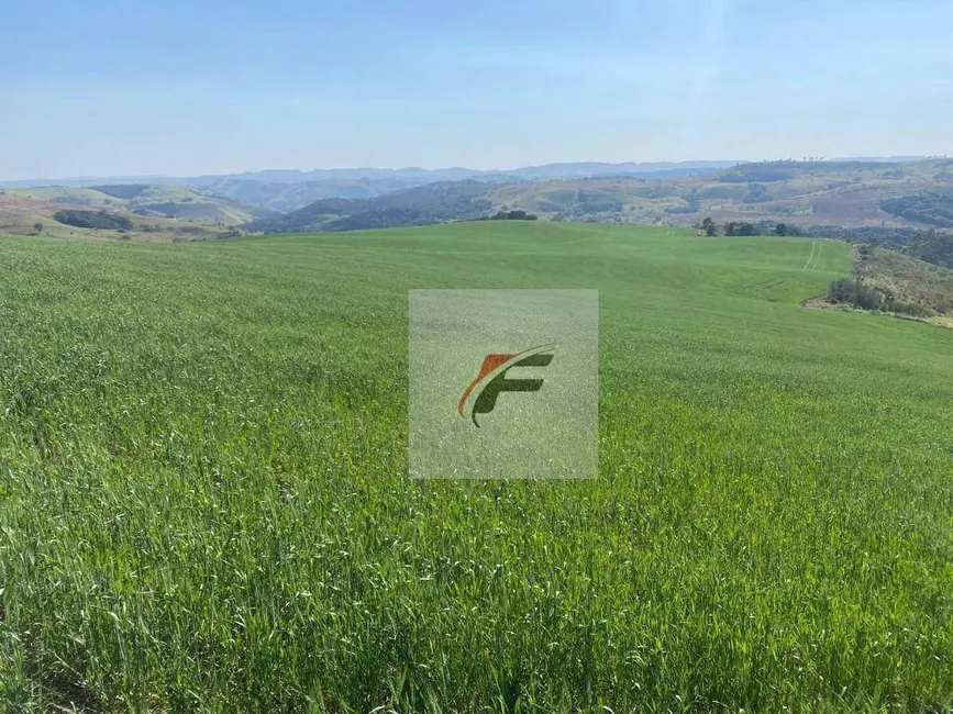 Foto 1 de Fazenda / Haras à venda, 3678400m2 em Palmital - PR