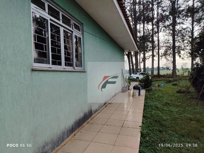 Chácara com 3 quartos à venda, 28000m2 em Contenda, Sao Jose Dos Pinhais - PR - imagem 6 Foto 6 de Chácara com 3 quartos à venda, 28000m2 em Contenda, Sao Jose Dos Pinhais - PR